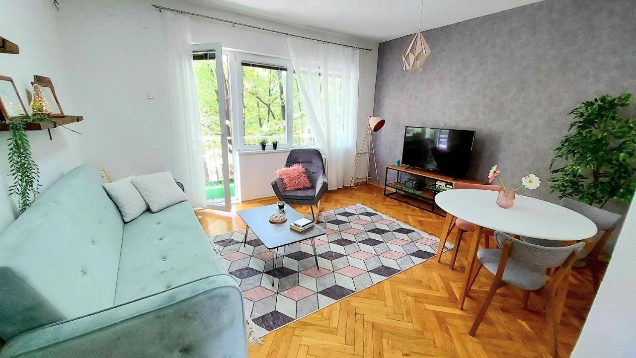 Inner City Two Bedroom Apartment سكوبجي المظهر الخارجي الصورة